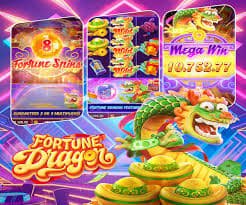x 25 Bingo Halls